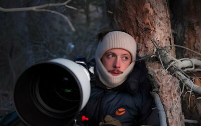 Jérémie Villet | photographe animalier