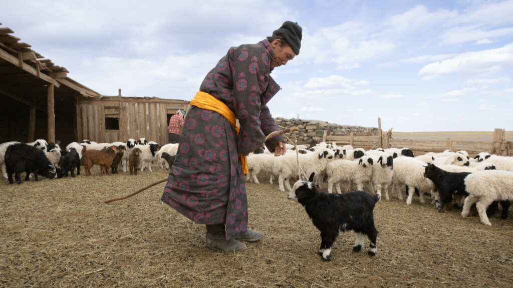 Homme et chèvre de mongolie mignon.