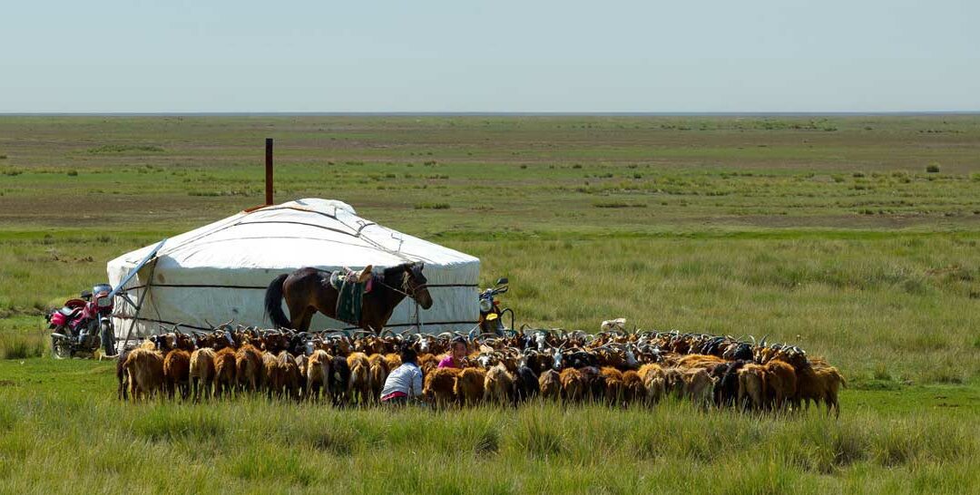 10 choses à savoir sur la Mongolie