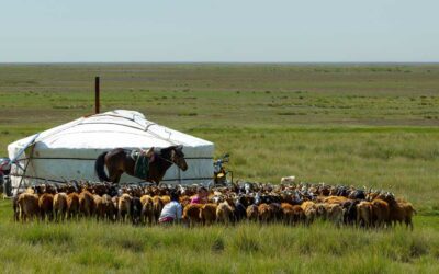 10 choses à savoir sur la Mongolie