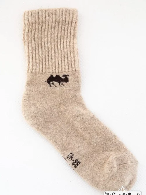 Paire de chaussettes motif chameau sur un fond blanc
