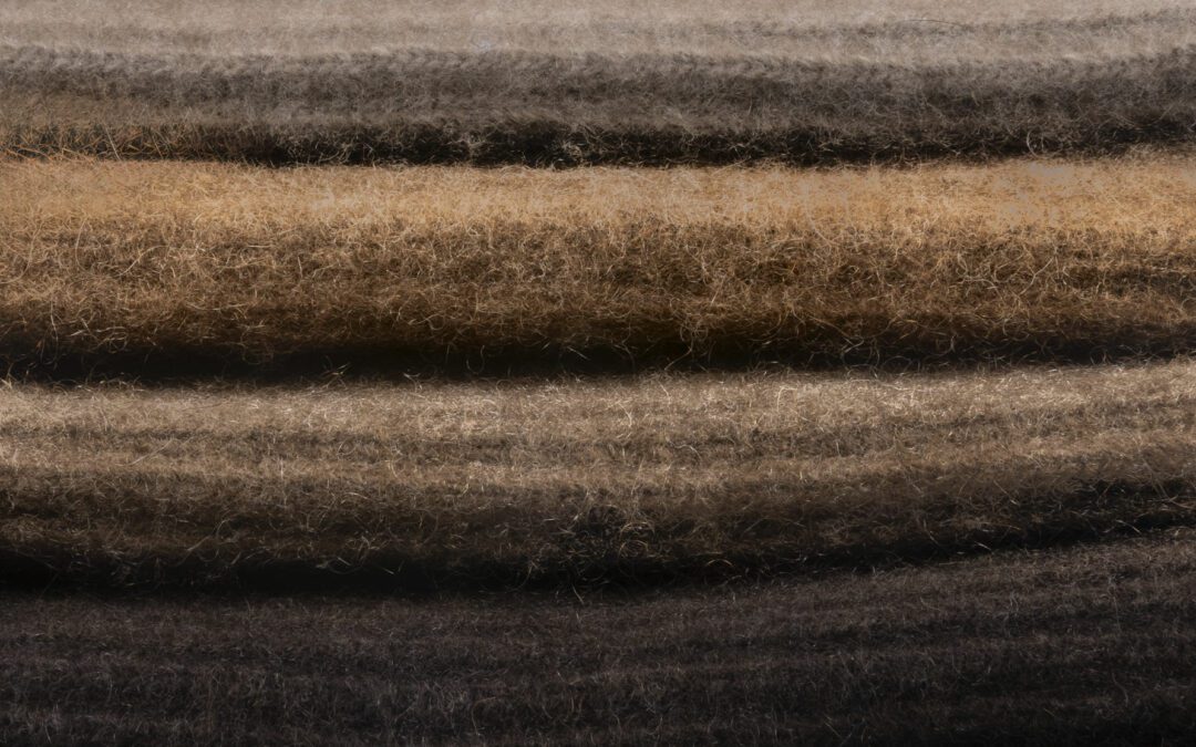 Comment entretenir vos laines naturelles ?